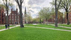 Harvard University